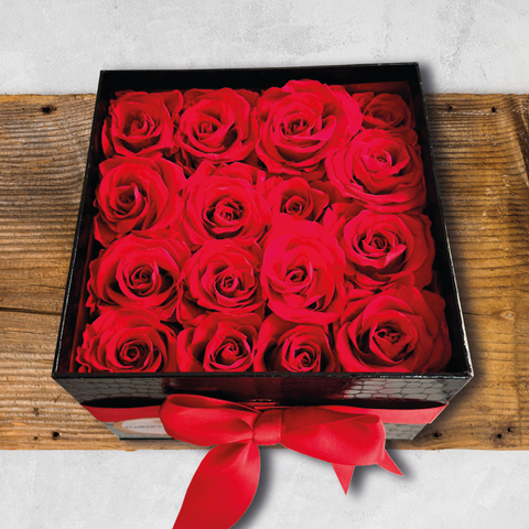 preserved roses box